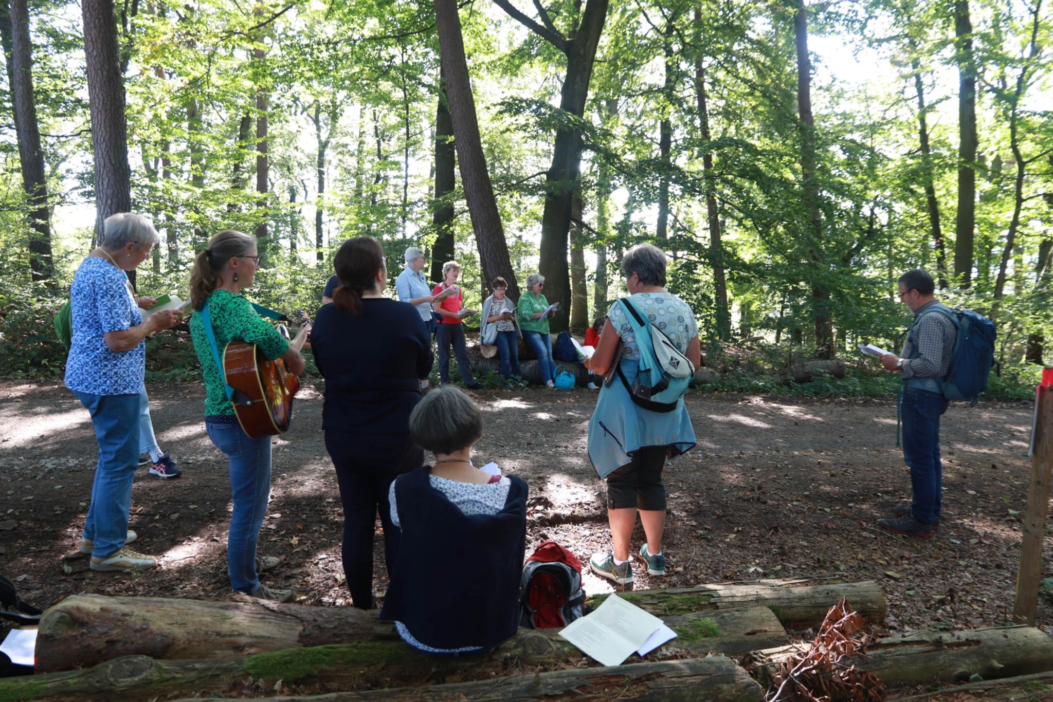 Station im Wald